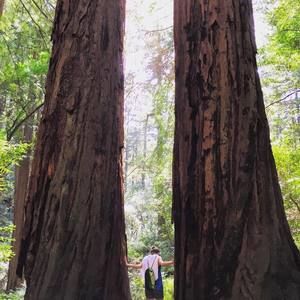 Meet your Posher, Kari